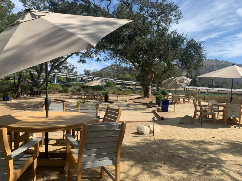 Patio tables and umbrellas under a large oak tree
