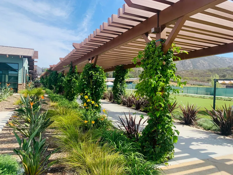 A vine-covered pergola walkway with mountains beyond